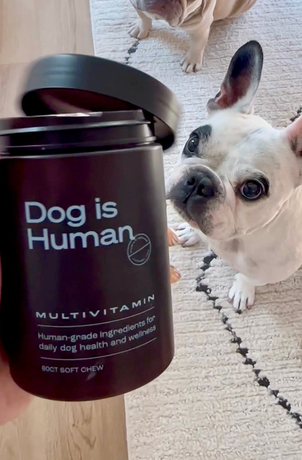 DM-01™ Daily Multivitamin